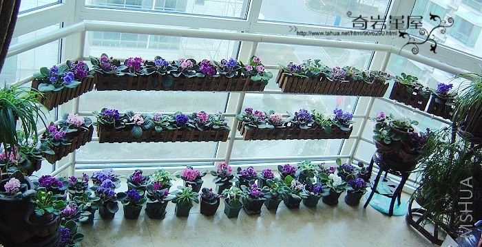 ����Ʈ���Ĺۻ�����