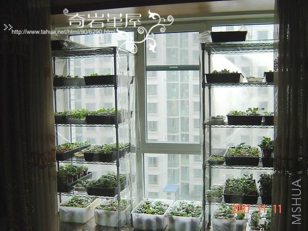 ��̨�ϵĻ�����