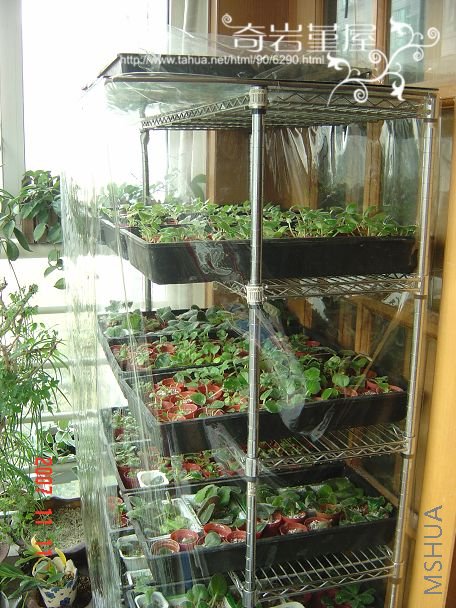 ��̨�ĵĻ�����