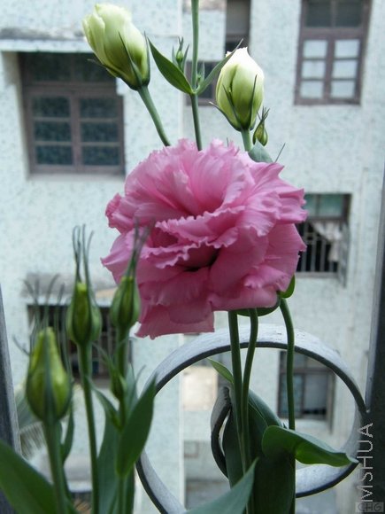 ������С 20080525_4ad8906b3fd0e60d243fFenv9sRmh3JK.jpg