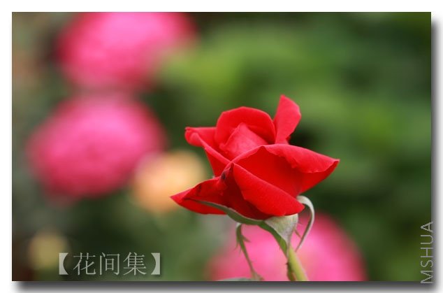 IMG_5121 ����.jpg