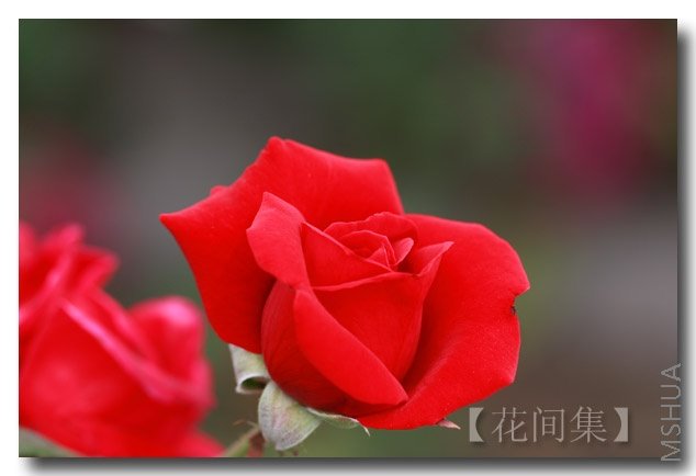 IMG_5118 ����.jpg