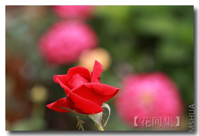 IMG_5119 ����.jpg