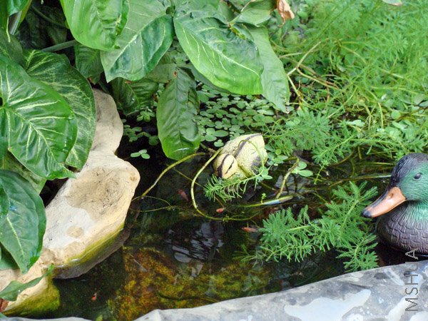 С������