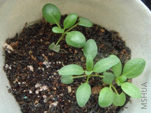 �����