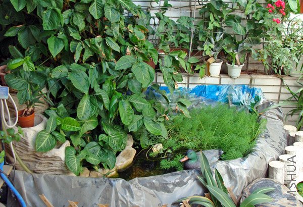 ˮ�ݳ��˺ܶ���