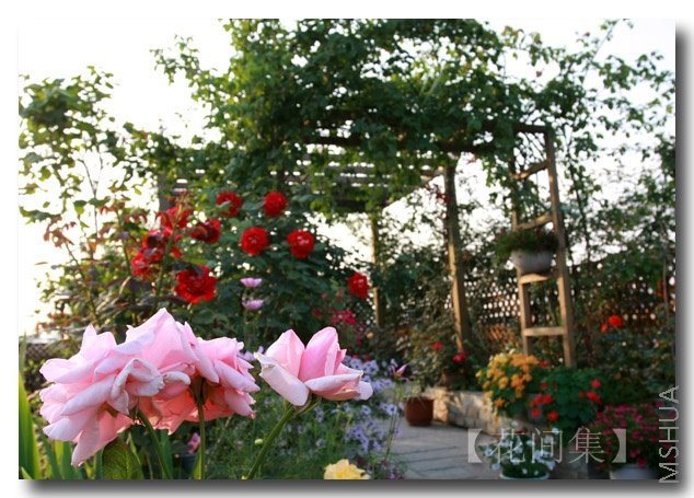 �ƽ��ͺ����Ѿ�