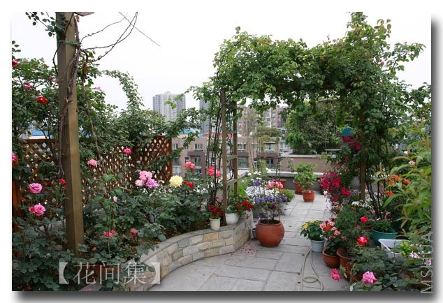 IMG_3659 ����.jpg