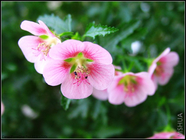 a 030.JPG