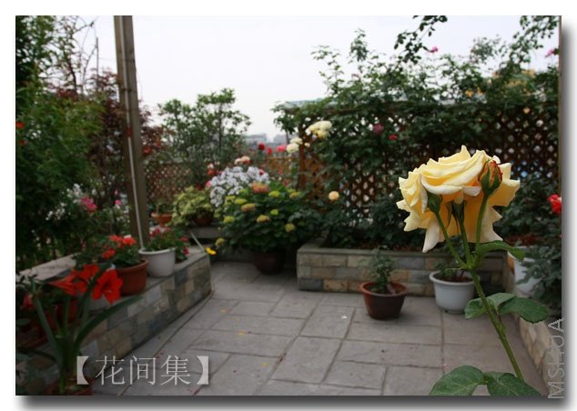 IMG_3665 ����.jpg