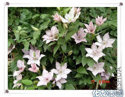 DSC04065.jpg