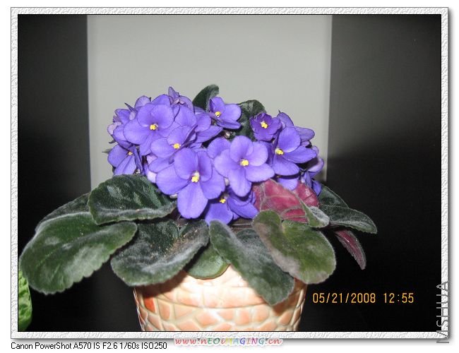 ���ڹ����ϣ���ͦ�ÿ���