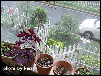 �ߵĲ����ε�5��