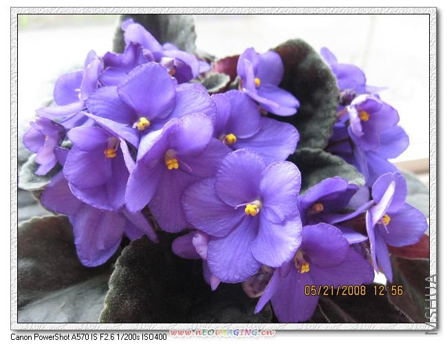 �����Ѿ������������