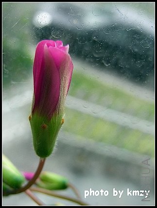 ���Ļ���