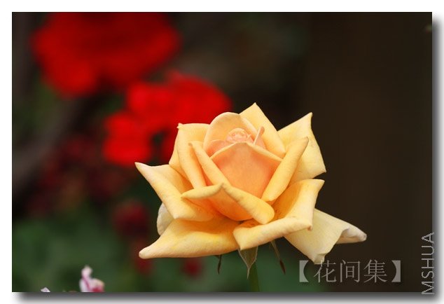 IMG_5248 ����.jpg