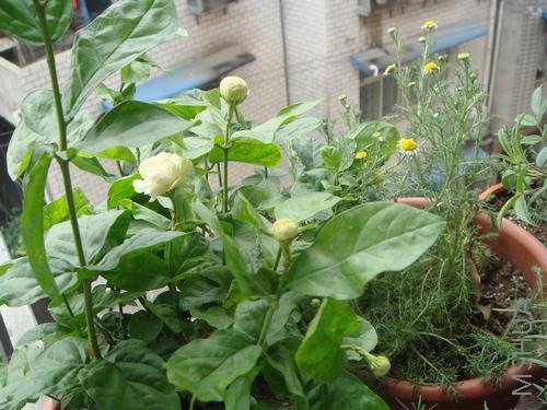 ���»���������