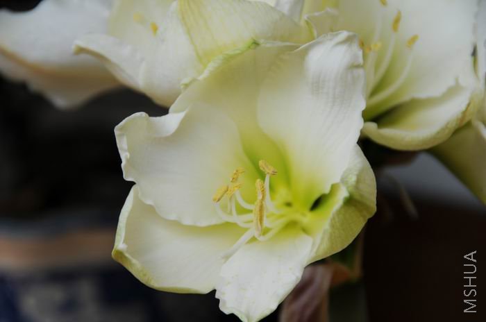 ������С zdh0317-3.jpg