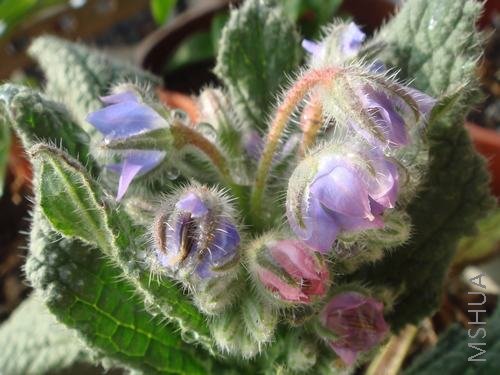 N�໨������һ���������