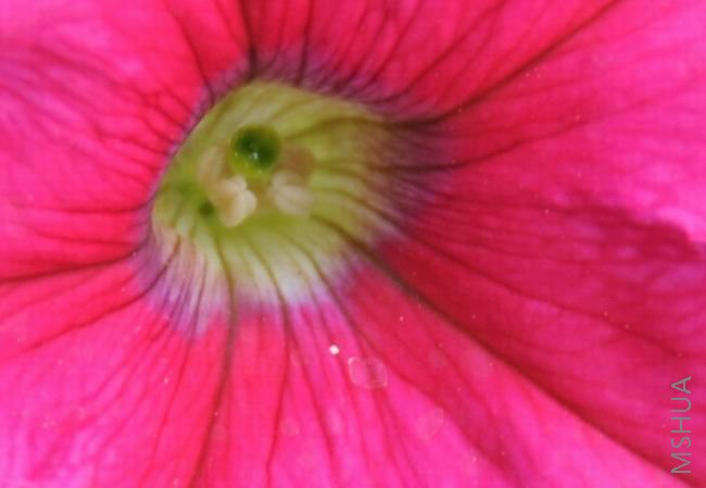 ������С aqn0518-21.jpg