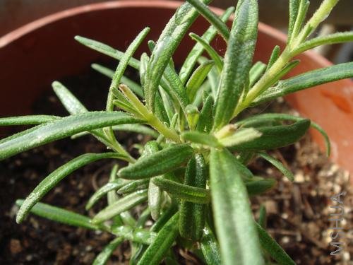 ����ȸһ�ٴ򶥵��Ե���