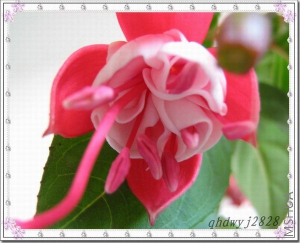 ���ҽ���