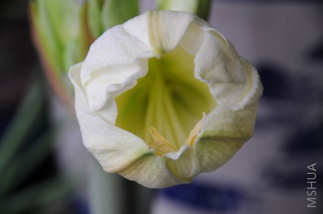 ������С zdh0312-3.jpg