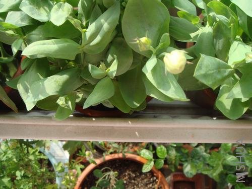 ��۹�һ����ʹ���ҵ����ռ���