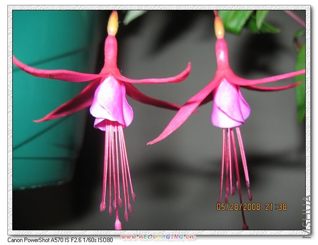 ��һ�֣��Ƚ�ϸ