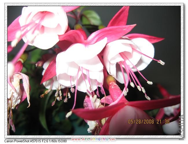 ��һ�֣����࣬�ȵ�һ���ϵ����ֻ�����С