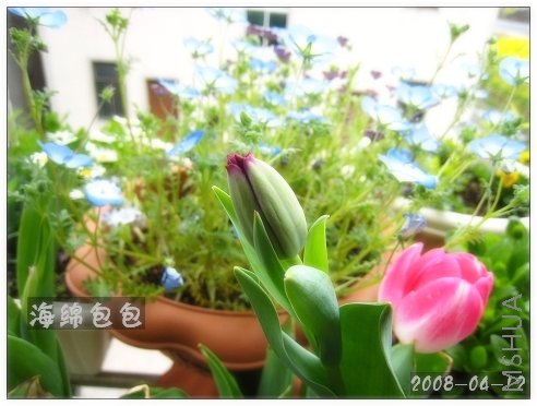 ������ ҹ�ʺ�0412.JPG