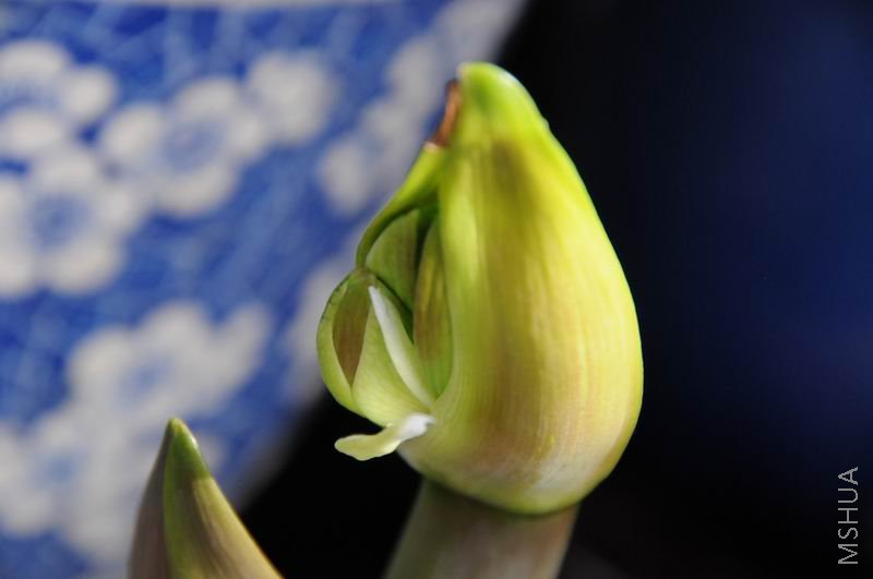 ������С zdh0301-2.jpg