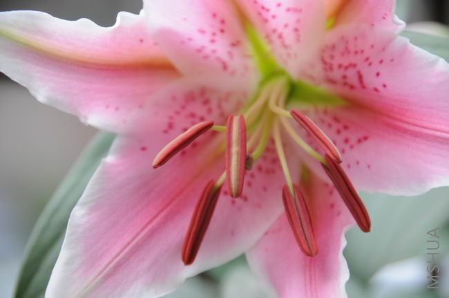 ������С bh0518-3.jpg