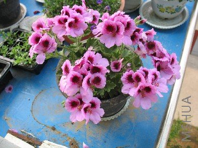 BigBull_��Ƭ 023.jpg