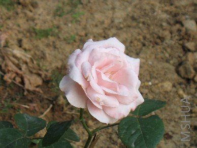 ����һ���Ժ�