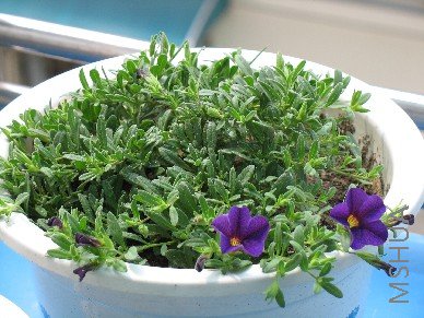 BigBull_��Ƭ 011.jpg