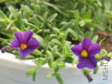 BigBull_��Ƭ 019.jpg