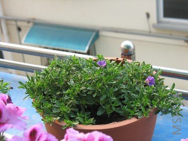 BigBull_��Ƭ 004.jpg