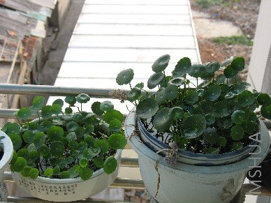 Ǯ���ڶ�������