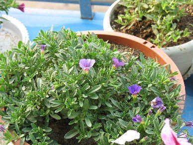 BigBull_��Ƭ 249.jpg