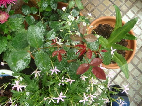 DSC02150.JPG