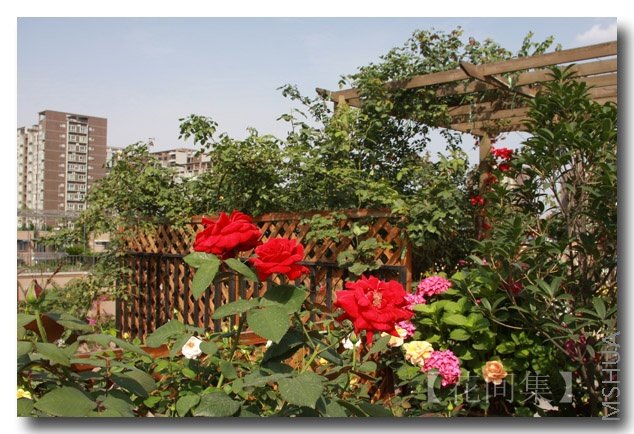 IMG_5599 ����.jpg