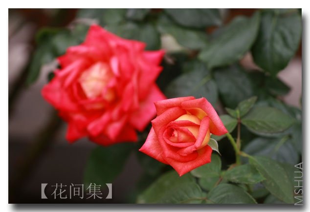 IMG_5244 ����.jpg