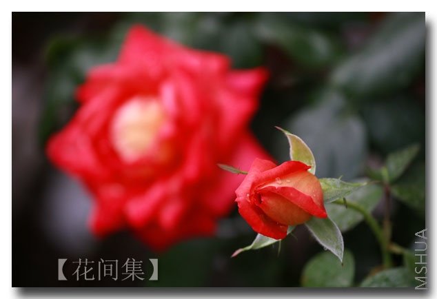 IMG_5236 ����.jpg