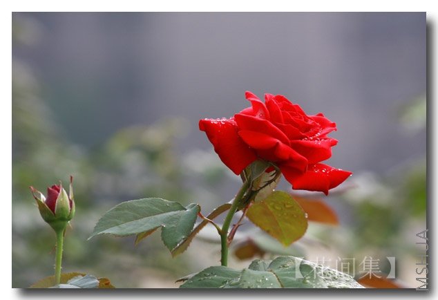 IMG_5214 ����.jpg