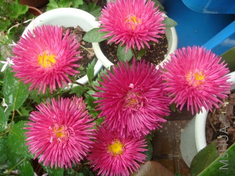 DSC02144.JPG