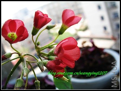 nEO_IMG_086,1���ҹ��ռҹ� 007.jpg