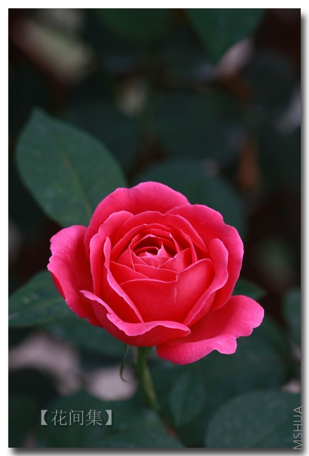 IMG_6206 ����.jpg