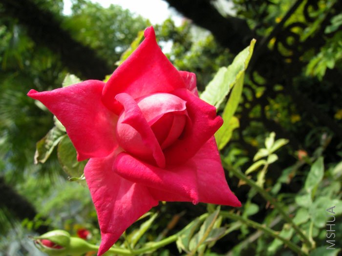 ��б���ĵ�