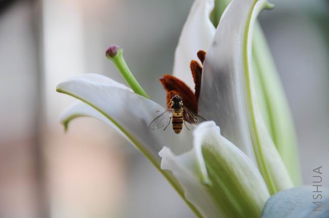 ������С bh0601-05.jpg